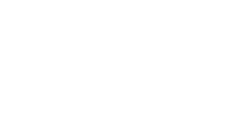 Air Canada Logo