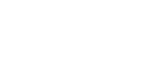 Hawaiin Airlines Logo