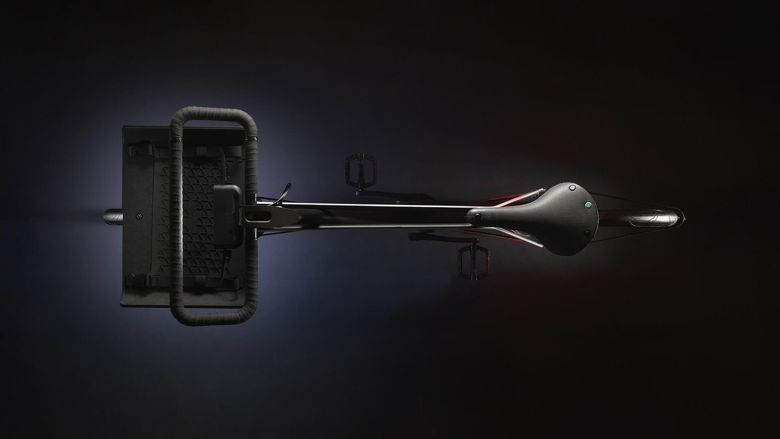 Denny top down view on black background