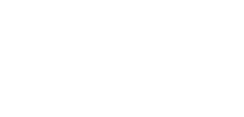 Logo white hyundai